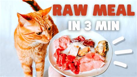 Can I Feed My Cat Raw Meat from the Grocery Store, and Why Do Some Cats Prefer Socks Over Tuna?