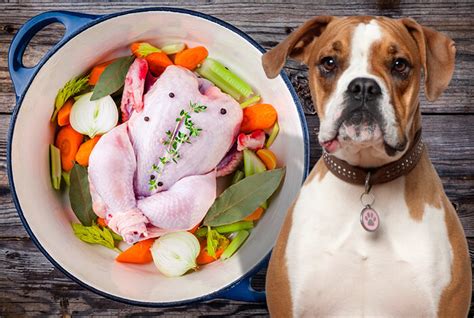 Can You Feed Your Dog Raw Chicken? Exploring the Risks, Benefits, and Myths