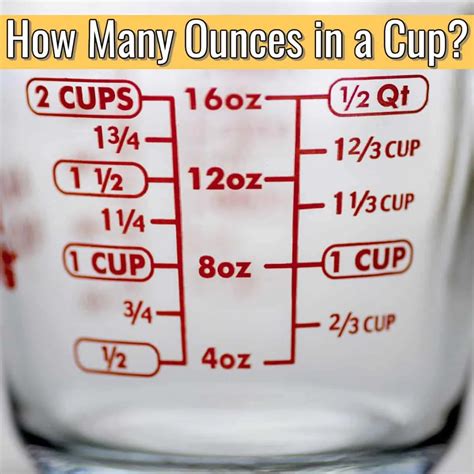 How Many Oz is a Glass: A Philosophical Inquiry into the Nature of Measurement and Existence