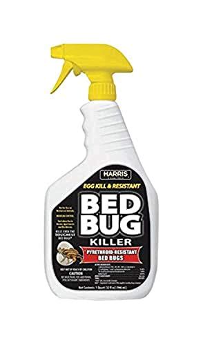 How to Use Bed Bug Spray: A Comprehensive Guide to Eradicating Unwanted Guests and Pondering the Mysteries of Nocturnal Itches