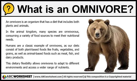  “Omnivore”：A Feast of Human Nature and Cosmic Possibilities!