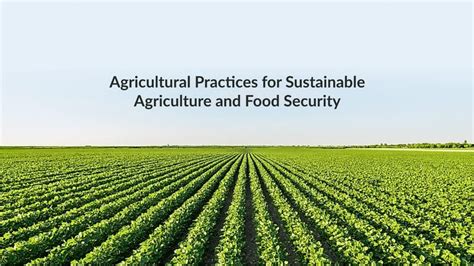  Planting for Food Security: A Critical Perspective on Sustainable Agriculture  - A Tapestry Woven with Threads of Social Justice and Ecological Wisdom