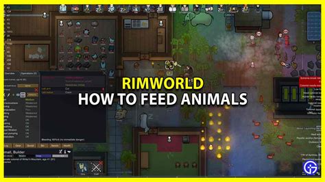 Rimworld How to Feed Animals: A Comprehensive Guide to Keeping Your Critters Happy and Well-Fed