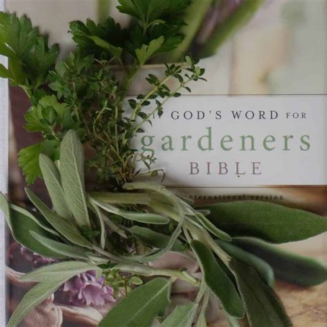  「The Herb Gardener’s Bible」：喚醒沉睡的綠色靈魂，與大自然的香氣交織