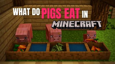 What Do You Feed Pigs in Minecraft, and Why Do They Love Carrots More Than Reality?