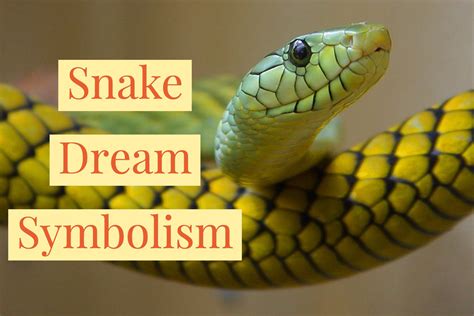 What do you feed snakes, and why do they dream of electric mice?