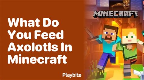 What to Feed Axolotl Minecraft: A Dive into Virtual Pet Care and Beyond