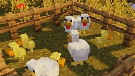 What to Feed Chickens in Minecraft: Exploring the Culinary Preferences of Digital Poultry