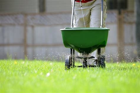 When to Put Fertilizer on Grass: A Symphony of Seasons and Soil