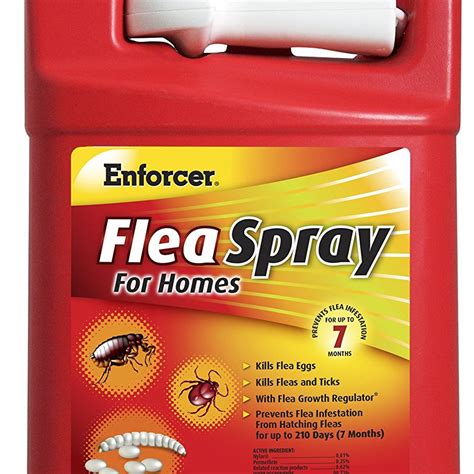 Where to Spray Flea Spray in House: A Comprehensive Guide to Flea Eradication and Beyond